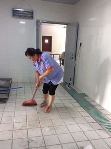 圖 上海專業工程開荒保潔 日常保潔 地毯清洗 工廠保潔外包等服務 上海保潔清洗