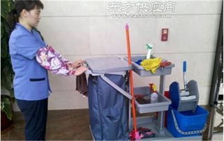 清洗保潔服務公司 湖北清洗保潔服務 武漢龍勝物業價格
